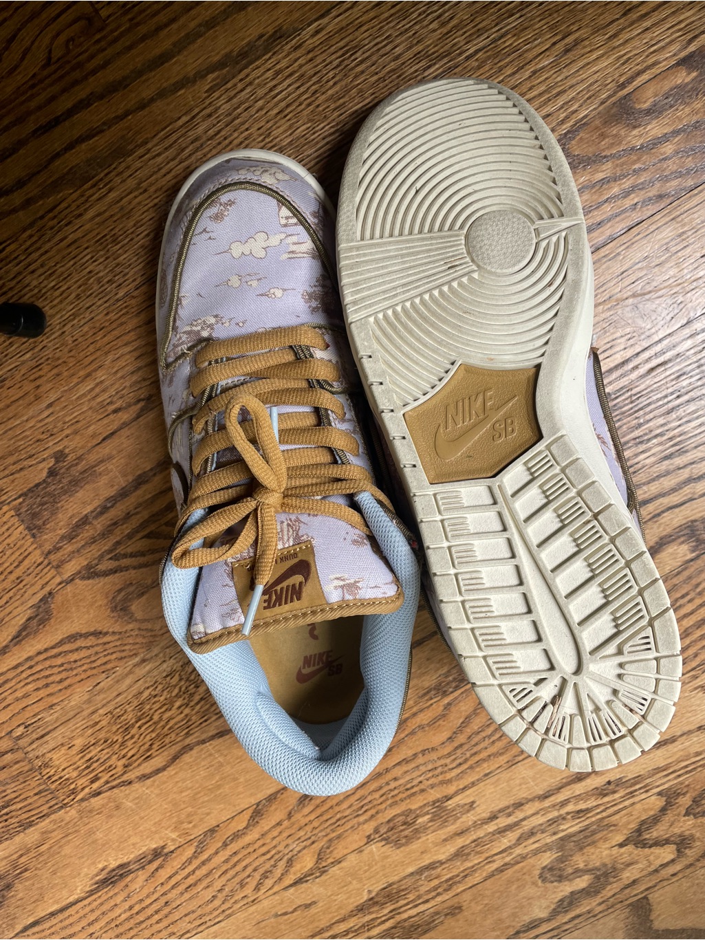 Nike Sb Dunk Low Premium City Of Style.
